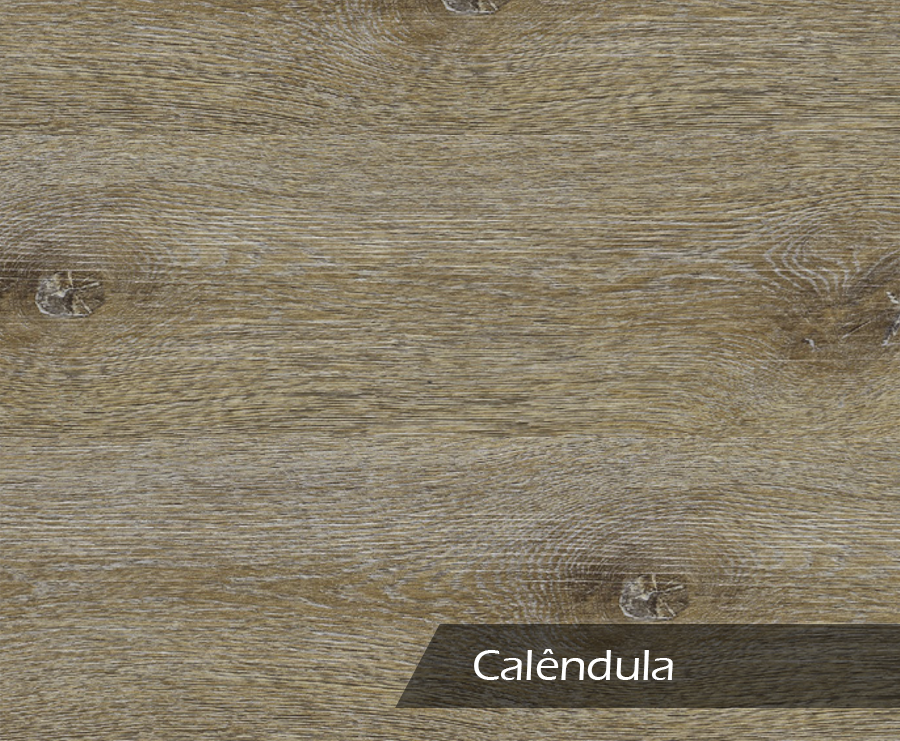 takett-injoy-calendula